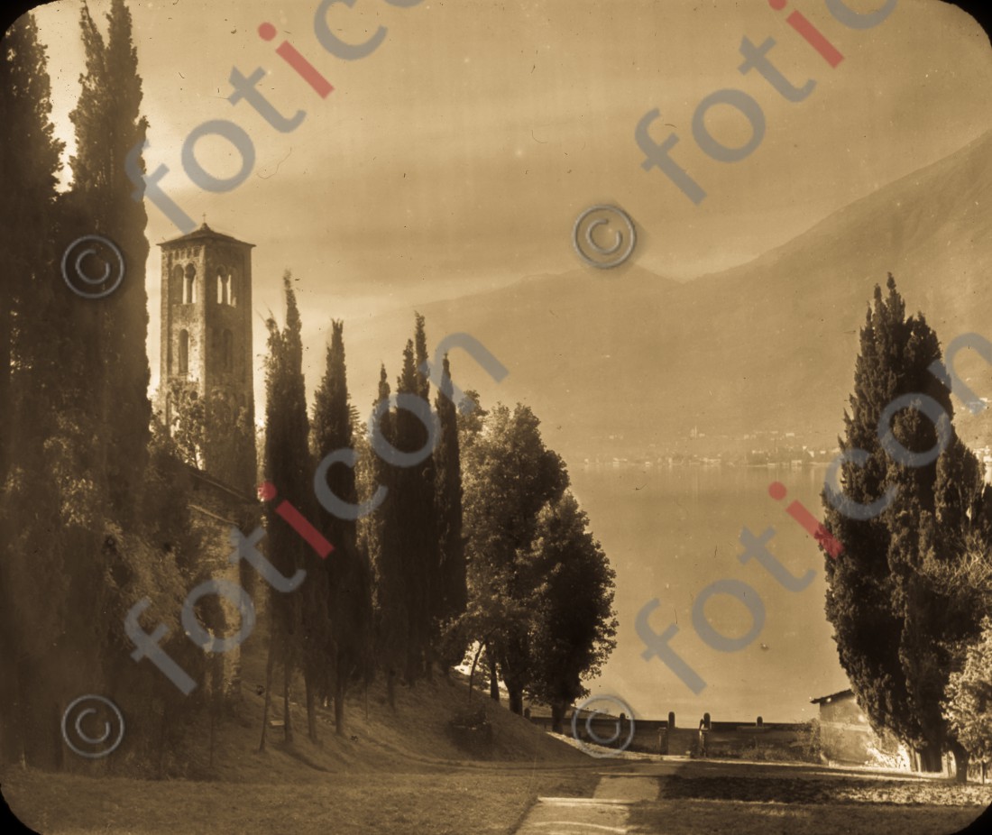 Zypressen | Cypresses - Foto foticon-simon-176-019.jpg | foticon.de - Bilddatenbank für Motive aus Geschichte und Kultur